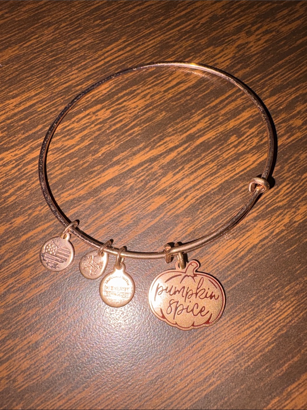 Alex and Ani Rose Gold Pumpkin Spice Charm Bangle